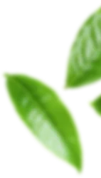 Connecting Families Around The World