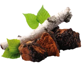 Connecting Families Around The World